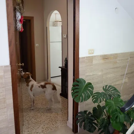Apartment A Casa Di Mari